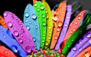 picture of color therapy