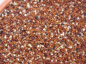 Kañiwa is a pseudograin and is gluten free and very easy to digest.