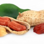  Peanuts are widely popular and also extremely affordable