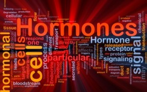 picture of hormones words