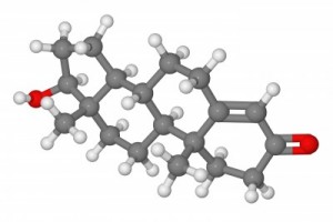 picture of Ball and stick model of testosterone molecule isolated on white background 