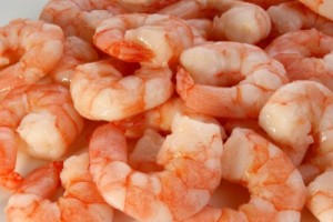 picture of shrimp