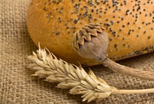picture of oats bread