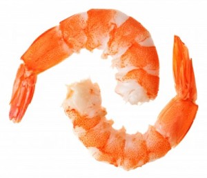 picture of shrimp