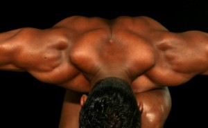 picture of delts
