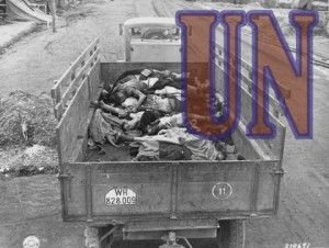 picture of united nations effects