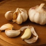 picture of garlic