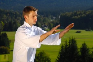 picture of man doing tai chi  in park