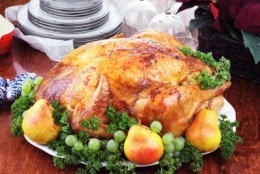 sturkey dinner with fresh pears, grapes and parsley picture of turkey dinner with fresh pears, grapes and parsley