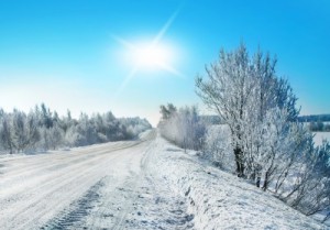 picture of sunny snowy day