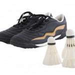 picture of tennis shoes and badmington
