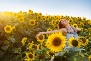 picture of young beautiful woman on blooming sunflower field in summer